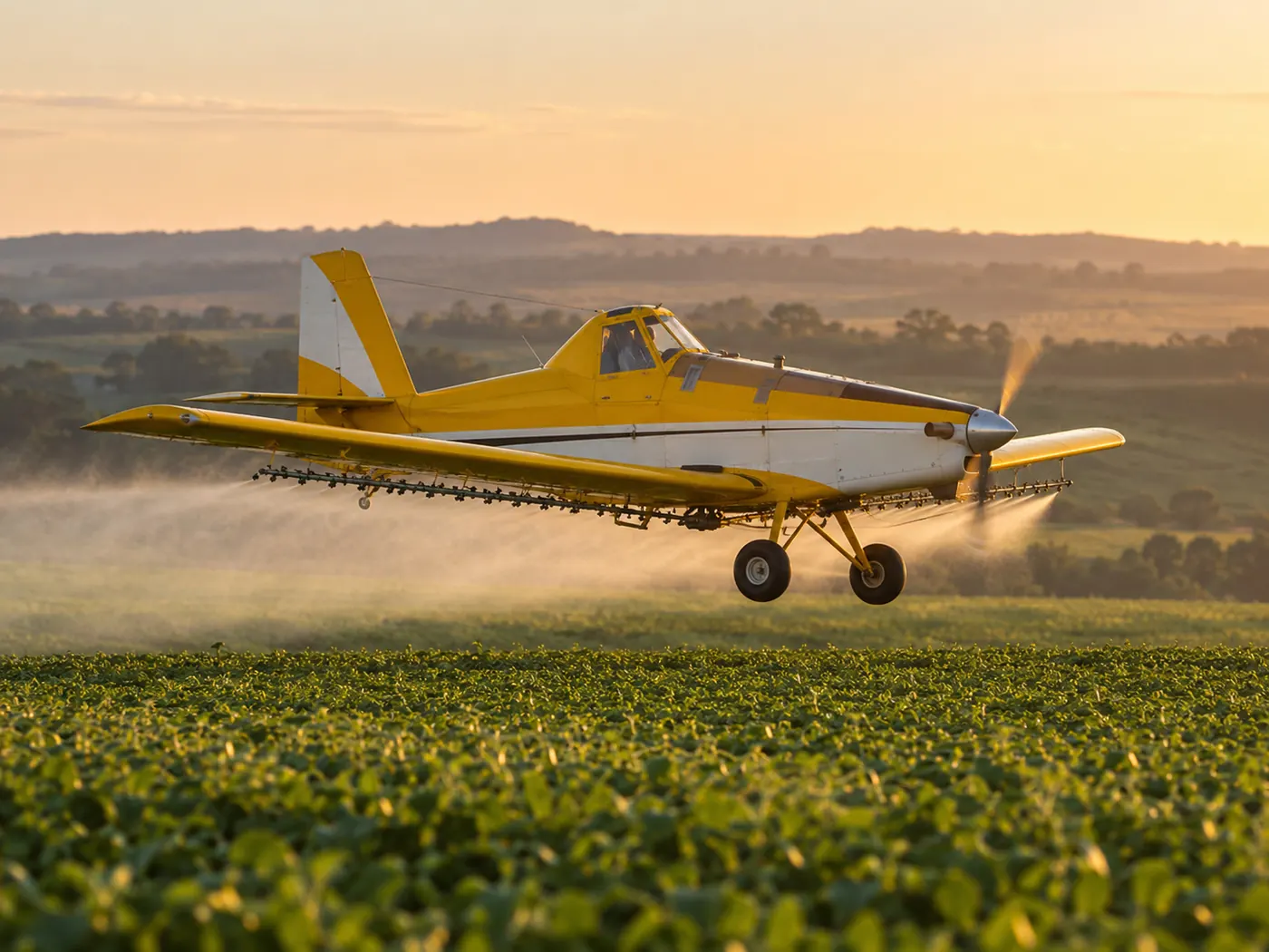 Avião agrícola em voo rasante sobre o talhão